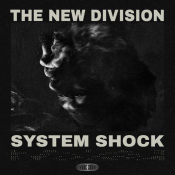 The New Division System Shock