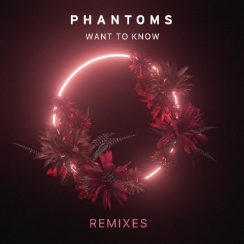 Phantoms feat. J090 Want To Know - J090 Remix