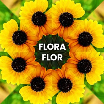 Eddu Rocha Flora Flor - Acústico