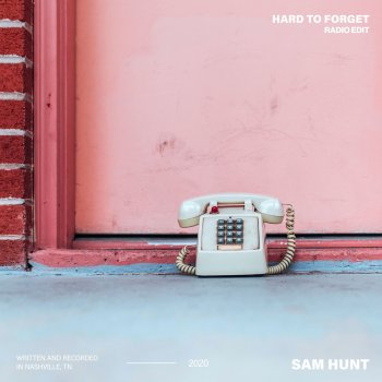 Sam Hunt Hard to Forget (Radio Edit)