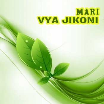 Mari Vya Jikoni