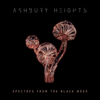 Ashbury Heights Spectres from the Black Moss