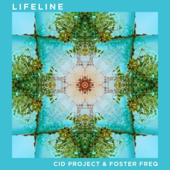 CID Project feat. Foster Freq Natural