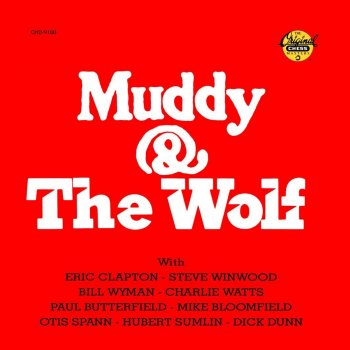 Muddy Waters Walkin' Thru the Park (1969)