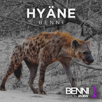 Benni feat. Andew Hyäne