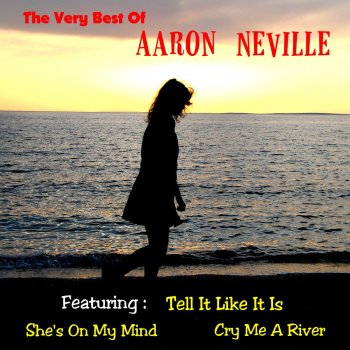 Aaron Neville feat. Linda Ronstadt Don't Know Much