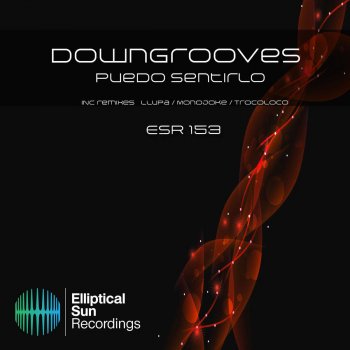 Downgrooves feat. Llupa Puedo Sentirlo - Llupa's Rolling Thunder Remix
