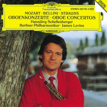 Richard Strauss, Hansjorg Schellenberger, Berliner Philharmoniker & James Levine Concerto for Oboe and Small Orchestra in D major: 2. Andante