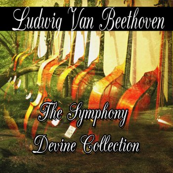 Ludwig van Beethoven Symphony No- 2 in D Major, Op- 36 II- Larghetto