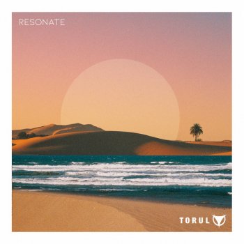 Torul Resonate - Into the Knot Remix