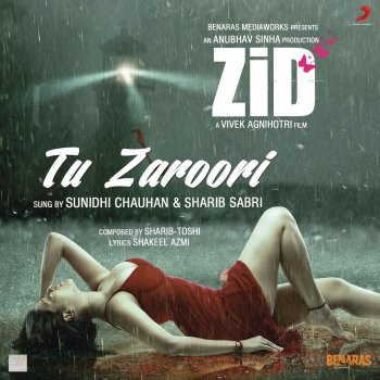 Sharib-Toshi feat. Sunidhi Chauhan & Sharib Sabri Tu Zaroori (From "Zid")