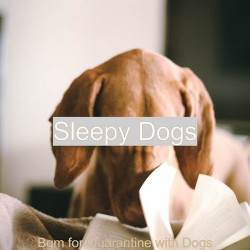 Sleepy Dogs Artistic Backdrop for Relaxing at Home with Your Dog