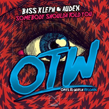 Bass Kleph feat. Audex Somebody Shoulda Told You