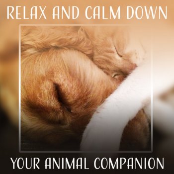 Pet Music Academy Calming Therapy