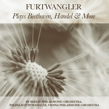 Berliner Philharmoniker feat. Wilhelm Furtwängler Noble and Sentimental Waltzes