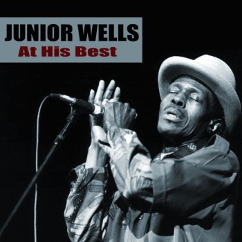 Junior Wells A Tribute To Little Walter