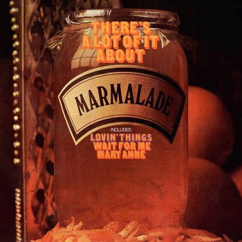 Marmalade Mr Tambourine Man