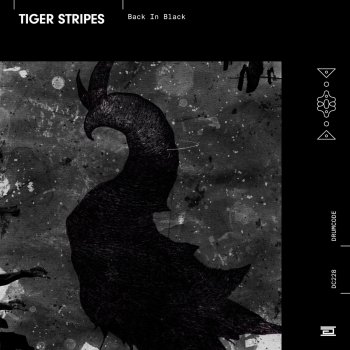 Tiger Stripes Back in Black
