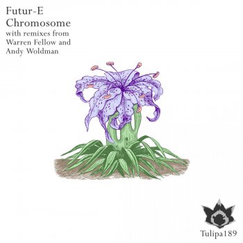 Future feat. Andy Woldman Chromosome - Andy Woldman Remix