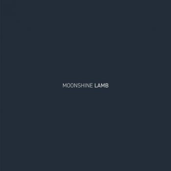 Lamb feat. Cian Finn Moonshine