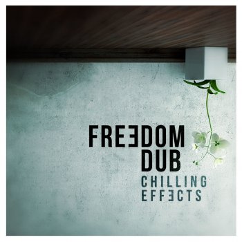 Freedom Dub feat. Amparo Soler La Niña Llora - Vintage Remix