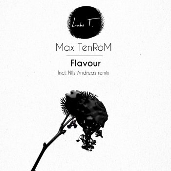 MAX TENROM Flavour - Nils Andreas Remix