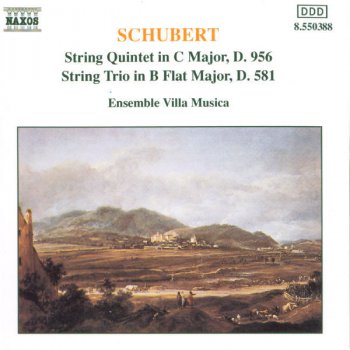 Franz Schubert feat. Villa Musica Ensemble String Quintet in C Major, Op. 163, D. 956: II. Adagio