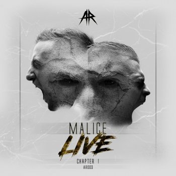 Malice feat. Andy the Core Feel So Good - Malice Live Edit