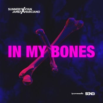 Sunnery James & Ryan Marciano feat. Dan McAlister In My Bones