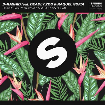 D-Rashid feat. Deadly Zoo & Raquel Sofia Donde vas (Latin Village 2017 Anthem)
