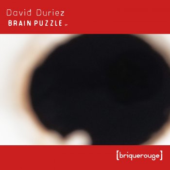 David Duriez Brain Puzzle