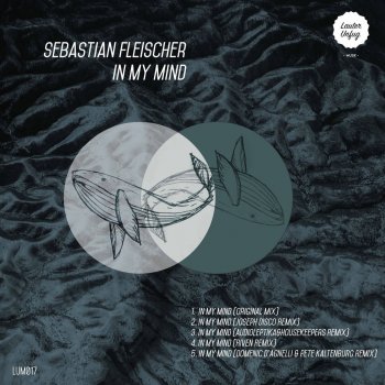 Sebastian Fleischer In My Mind (Joseph Disco Remix)