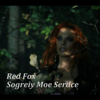 Red Fox Sogreiy Moe Serdce