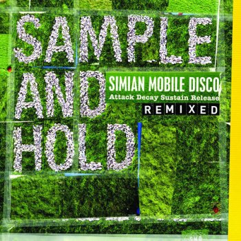 Simian Mobile Disco Tits and Acid (Oscillation remix)