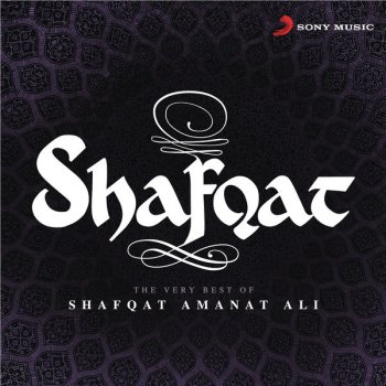 Shafqat Amanat Ali feat. Sunidhi Chauhan Bin Tere (Remix)