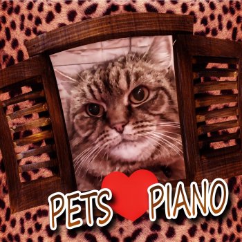 Pet Music Academy Calming Music for Pets