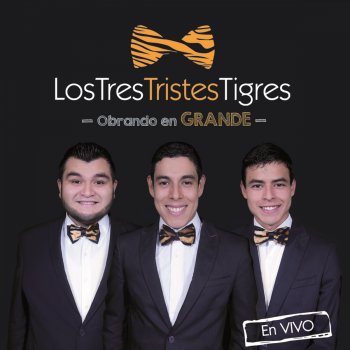 Los Tres Tristes Tigres Amor de Ver-Año (En Vivo Desde Monterrey N.L. México/2013)