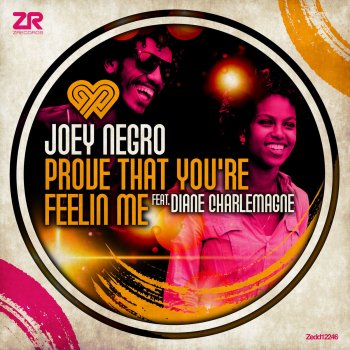 Joey Negro feat. Diane Charlemagne Prove That You're Feeling Me (Radio Edit)