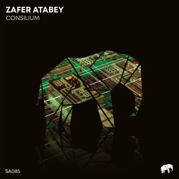 Zafer Atabey Consilium - Original Mix