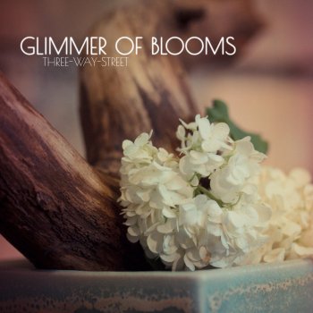 Glimmer of Blooms Confession
