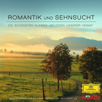 Musica Antiqua Köln feat. Reinhard Goebel Concerto in F Major (Seibel deest): IV. La Chasse