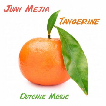 Juan Mejia feat. The Disclosure Project Higuita - The Disclosure Project Remix