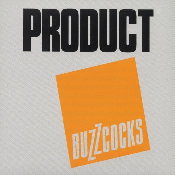 Buzzcocks Noise Annoys - Live