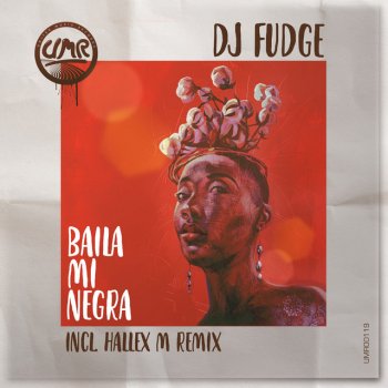 DJ Fudge feat. Hallex M Baila Mi Negra - Hallex M Remix