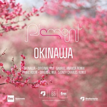 Piemont Okinawa (Gabriel Ananda Remix)