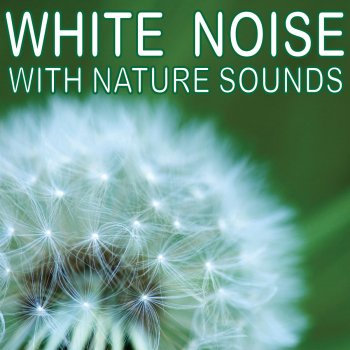 White Noise White Noise Ocean