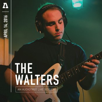 The Walters Hunk Beach (Audiotree Live Version)