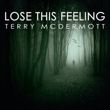 Terry McDermott Lose This Feeling