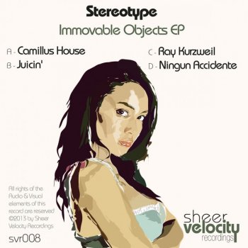 Stereo:Type Ray Kurzweil - Original Mix