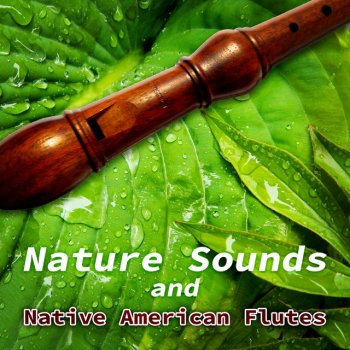 Native American Music Consort Nature Sounds with Flute Music